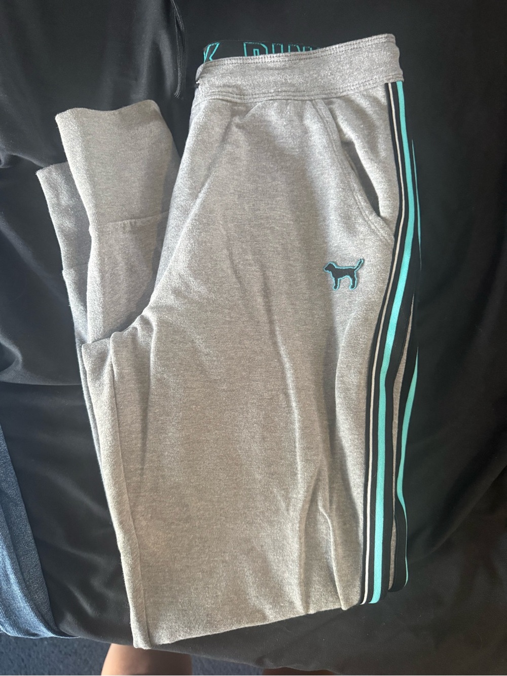Grey Sweatpants with Teal Stripe